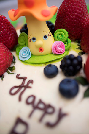 Smash the cake. One year old