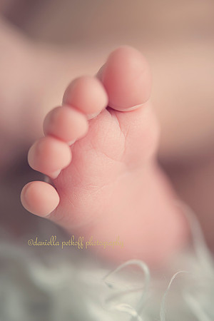 5 tiny toes