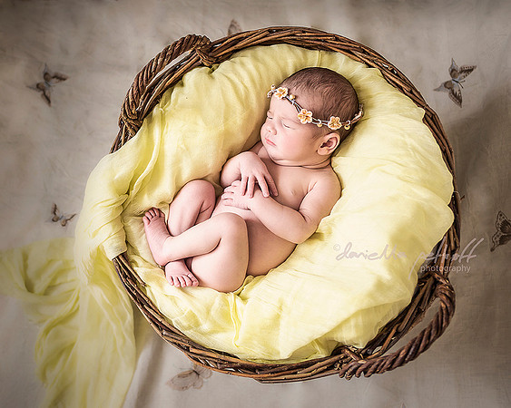 New born baby girl with yellow flowers tiara sleeping in a grape