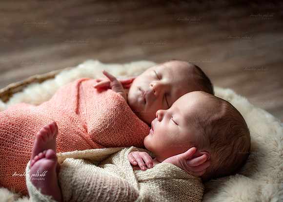 NEWBORN