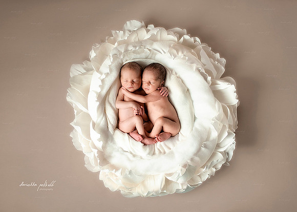 NEWBORN