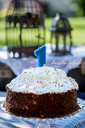 Smash the cake. One year old