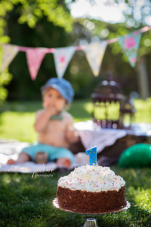 Smash the cake. One year old