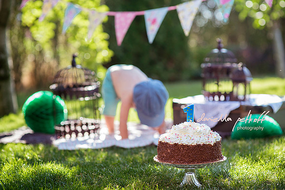 Smash the cake. One year old