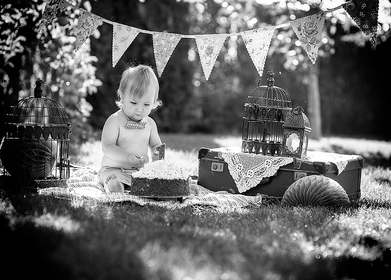 Smash the Cake