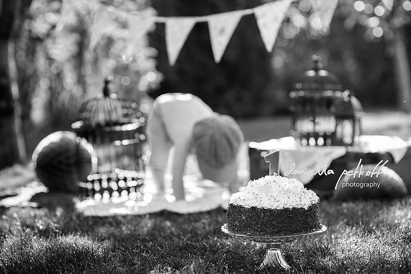 Smash the Cake
