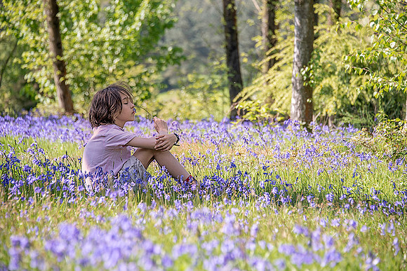 Boy in a bluebell field