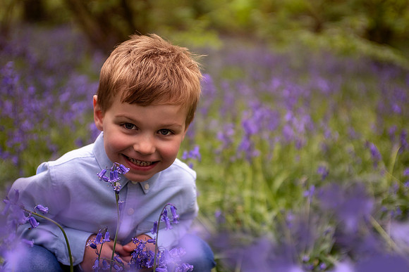 Bluebells family photo
